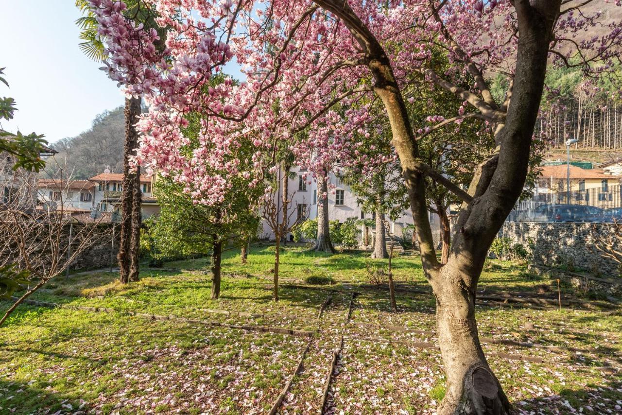 B&B Villa Rosalinda Dongo Dış mekan fotoğraf