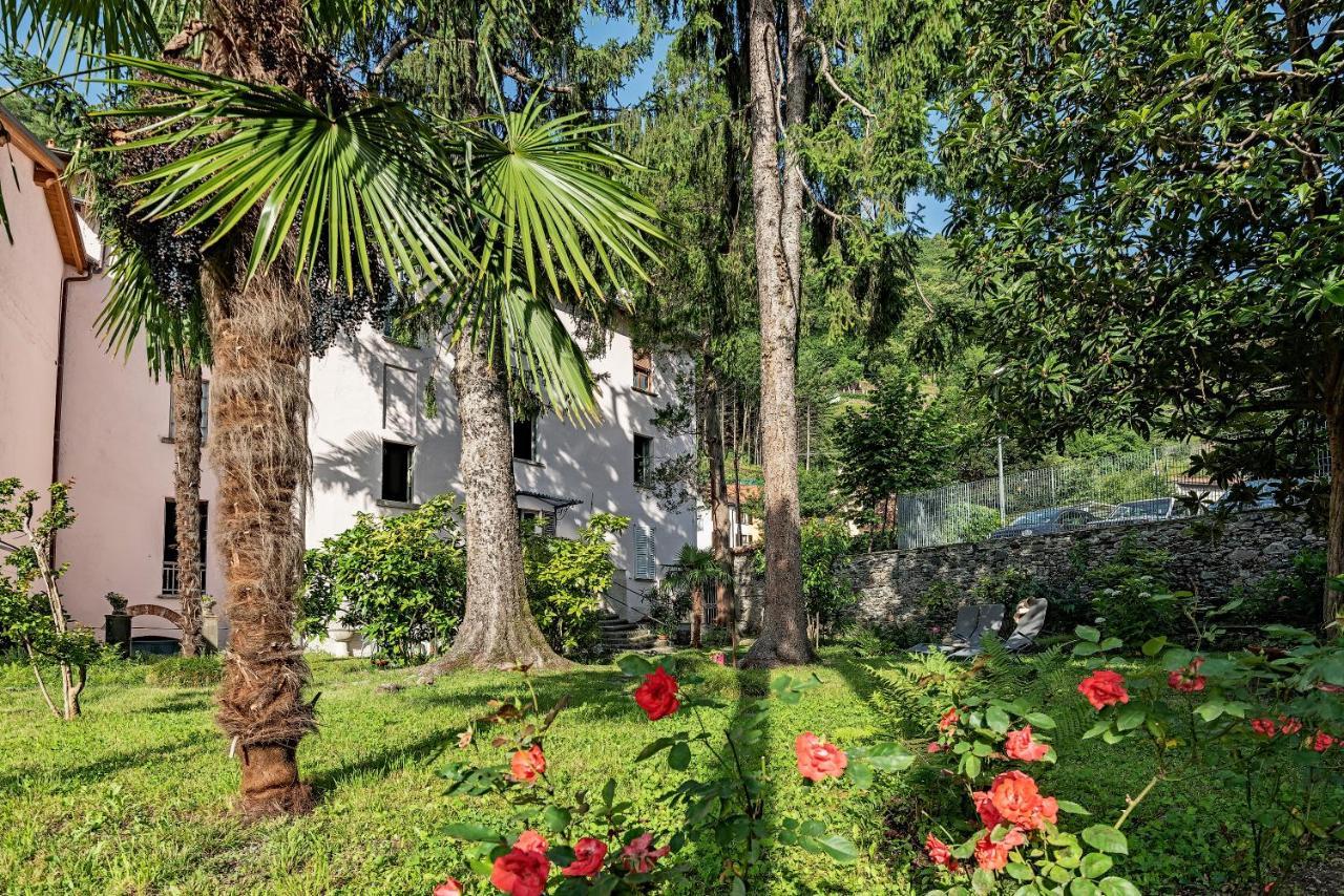 B&B Villa Rosalinda Dongo Dış mekan fotoğraf
