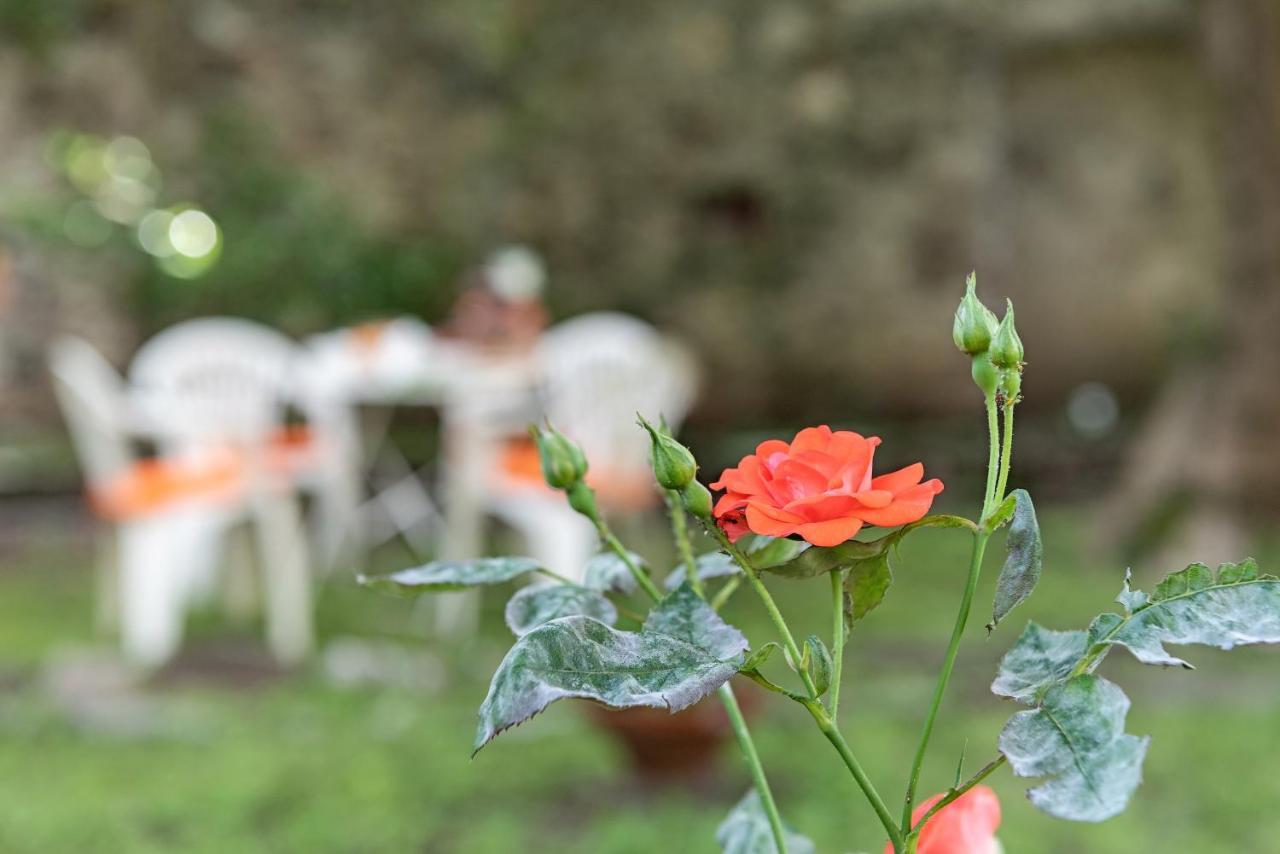 B&B Villa Rosalinda Dongo Dış mekan fotoğraf